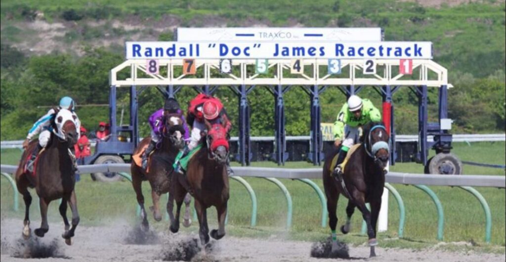 STX Horse Track