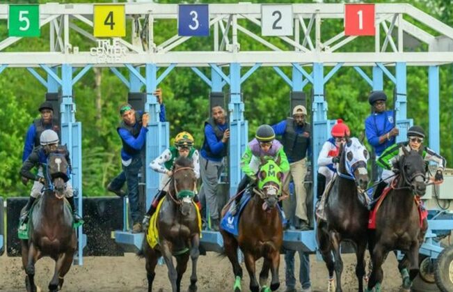 Horse Racing